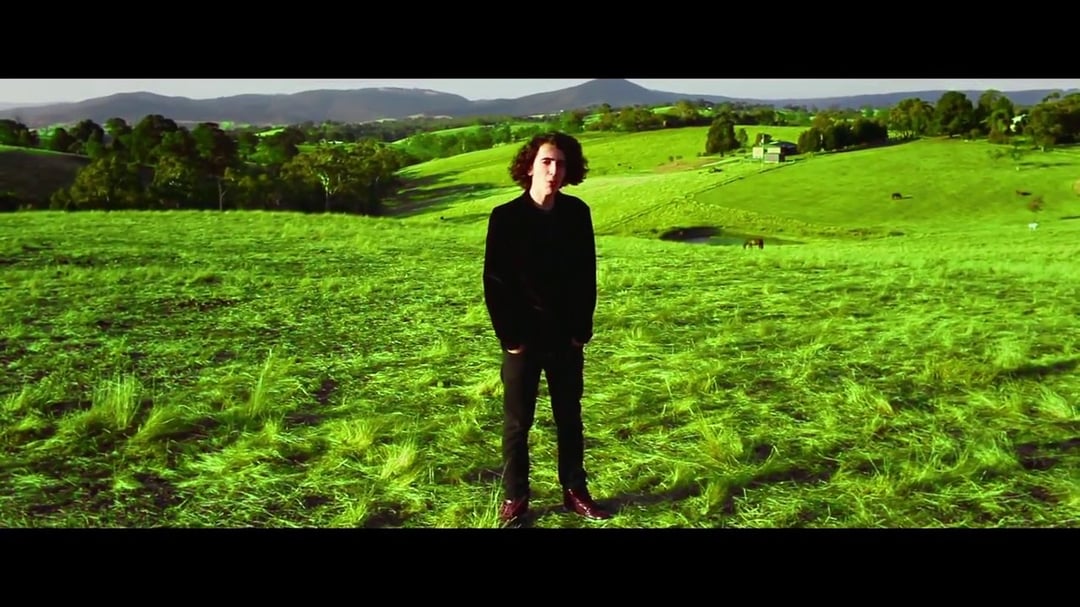 The Clover Fields (Official Video) image