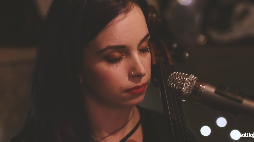 Fur Foxen Into the Mystic