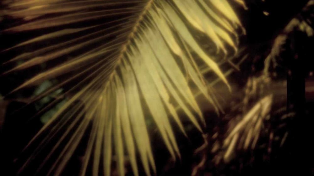 Dhyan Møller - Lost In 3s (DJG Remix) - Blipswitch Digital