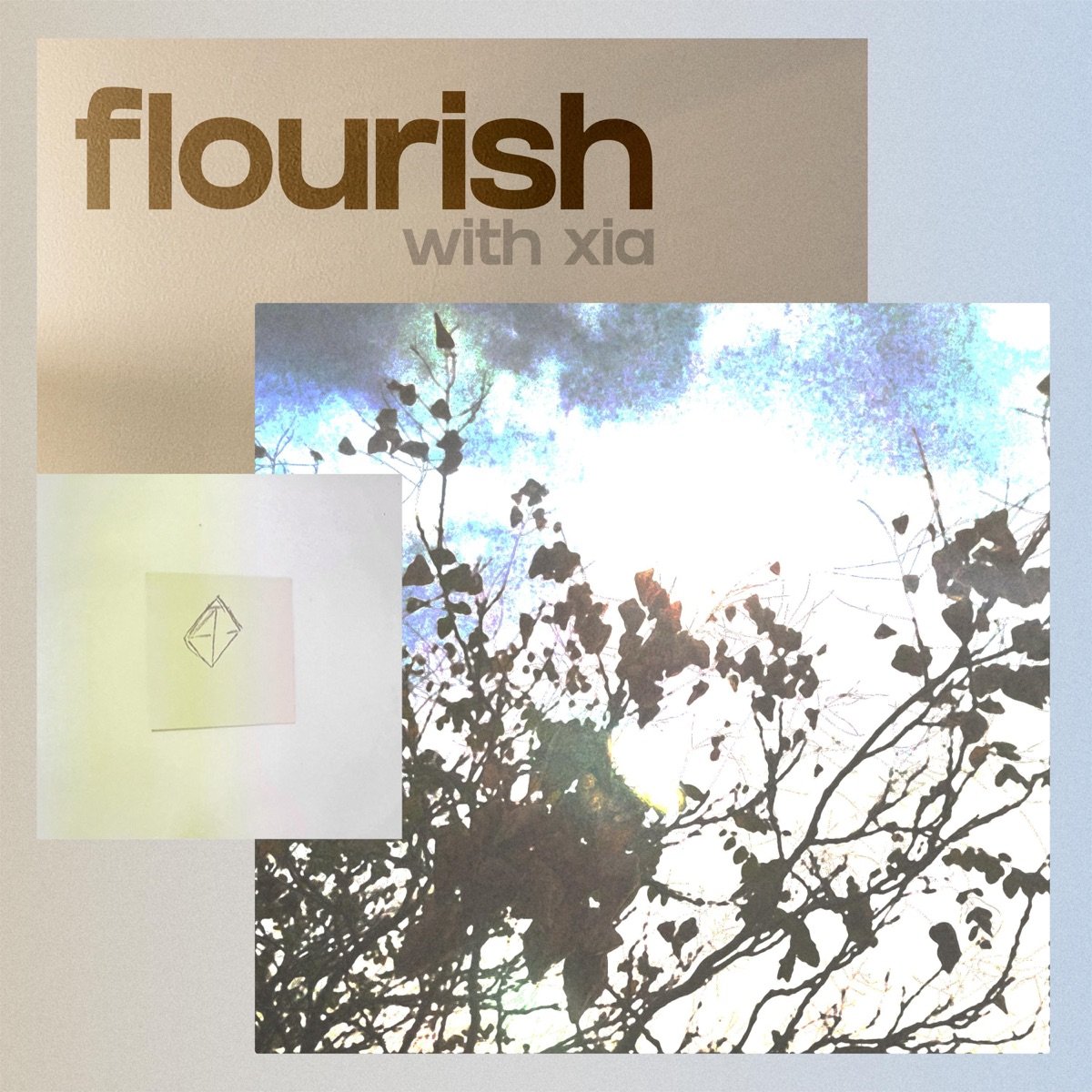 flourish (feat. xia)