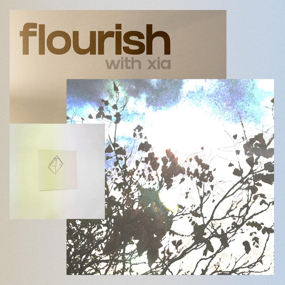 flourish (feat. xia)