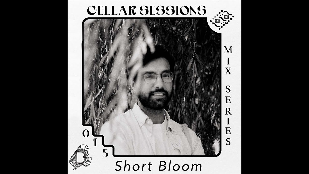 SHORT BLOOM: Late Night Dance Vibes