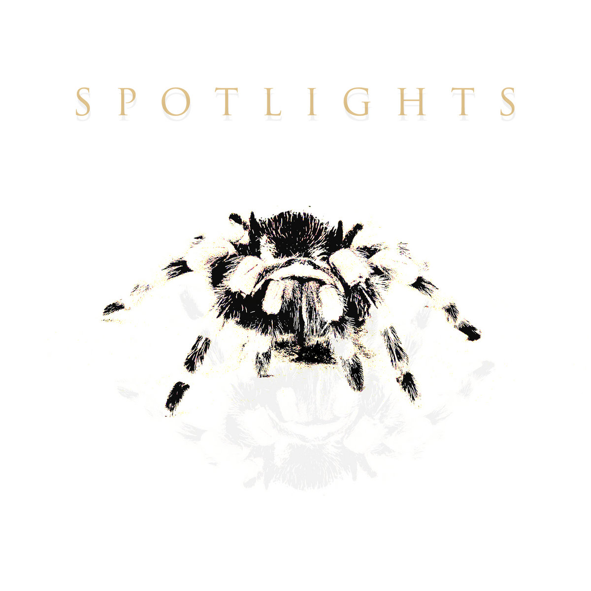 Spiders EP - Digital