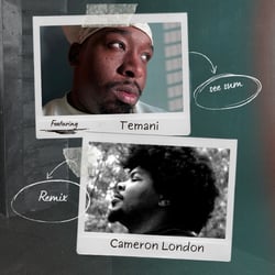See Sum (Remix) [feat. Cameron London]