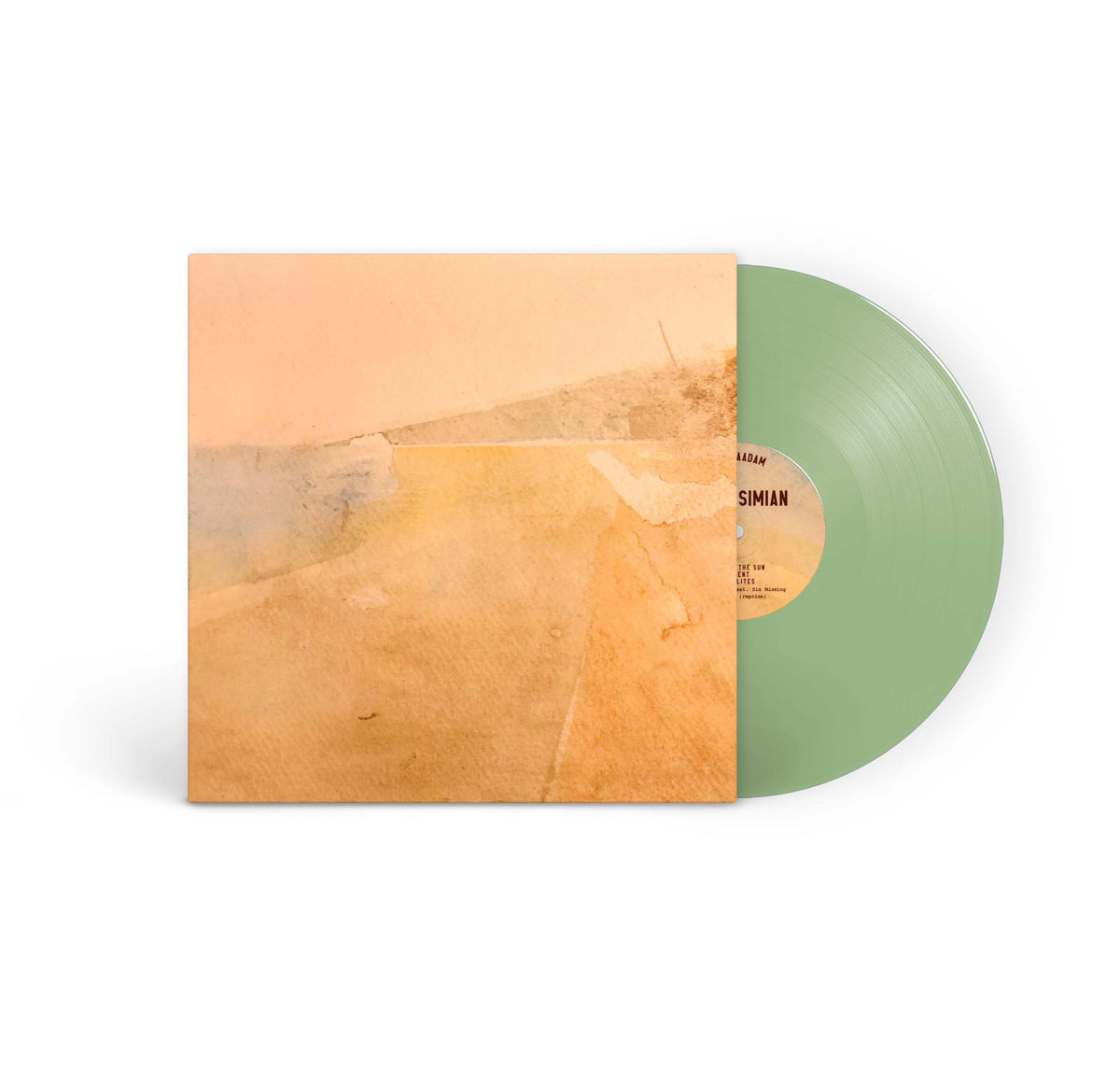 Swim, Simian - Limited Edition Vinyl LP