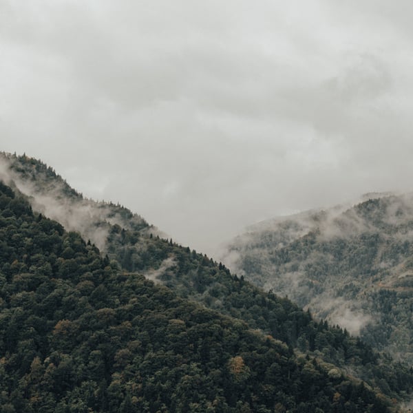 Fresh Air image
