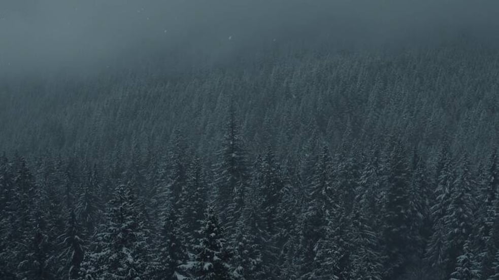 Before the Stars Have Left the Skies