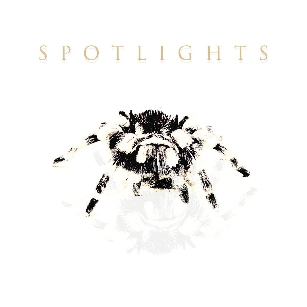Spiders EP image