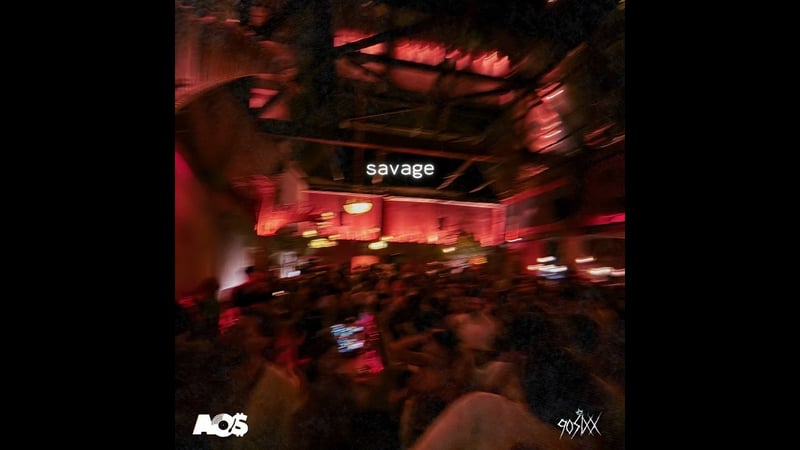90SIXX - Savage (Audio Visualizer)