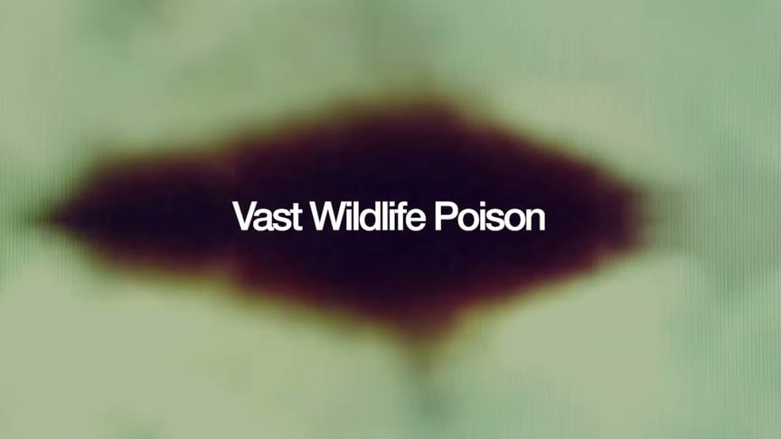 Prefuse 73 - Vast Wildlife Poison (Official Visualiser)