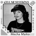 new dj mix for Stereo Ferment~