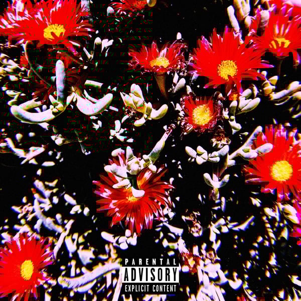 The Soul In LA 2 image