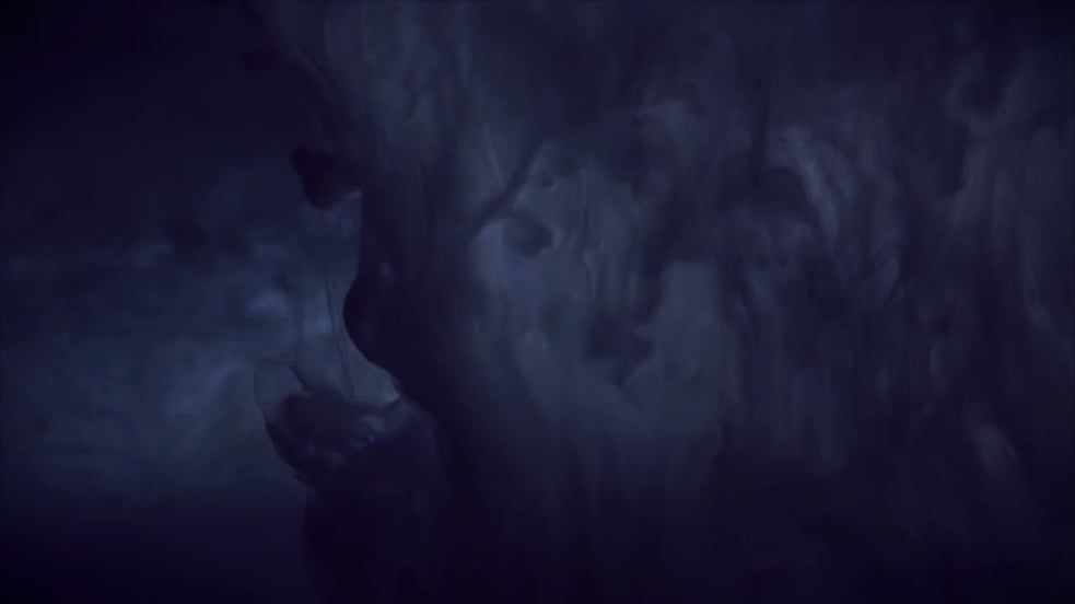 Dear Gravity ●● sanctuary (Official Video)