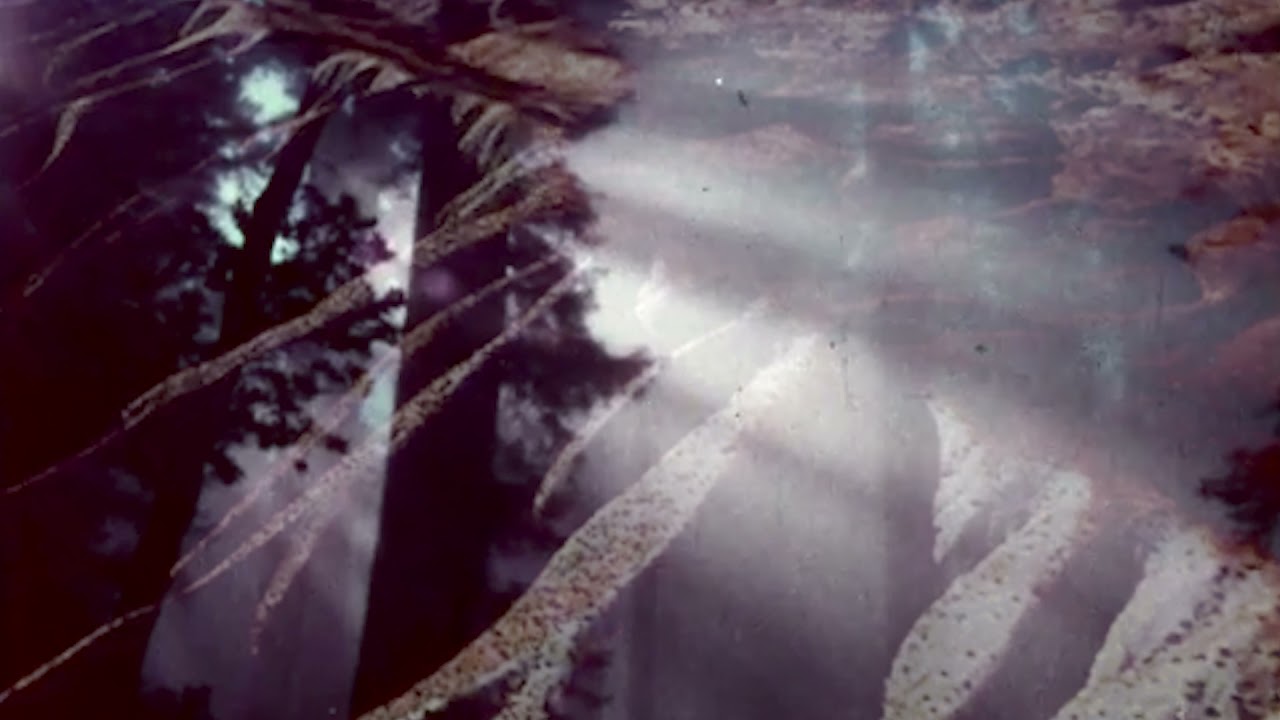 Kelli Frances Corrado - The Mighty Mermaid vs Murky Water