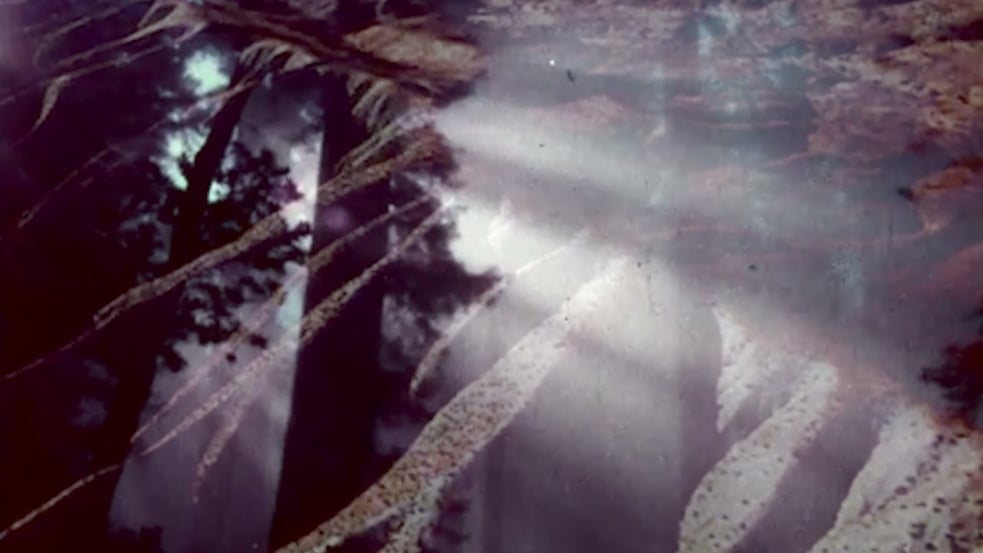 Kelli Frances Corrado - The Mighty Mermaid vs Murky Water