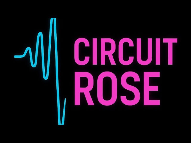 Our Pitch to FLIPPED CHAT