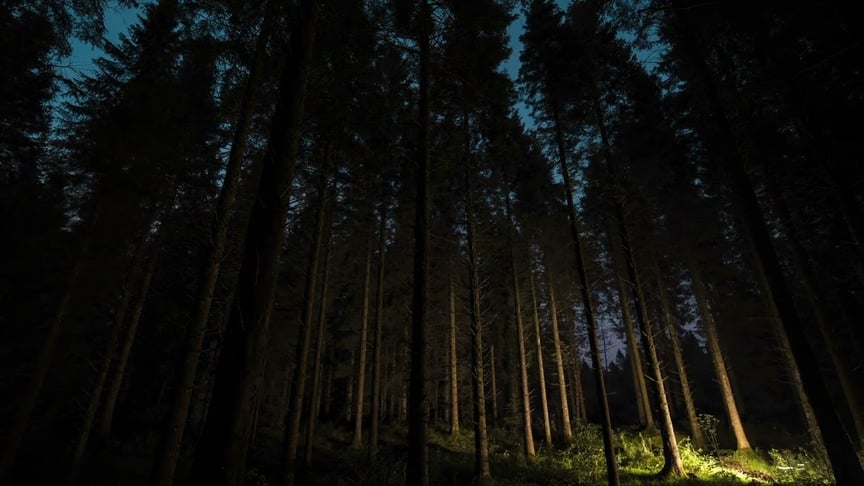 Dear Gravity • Cessate (Official Video)