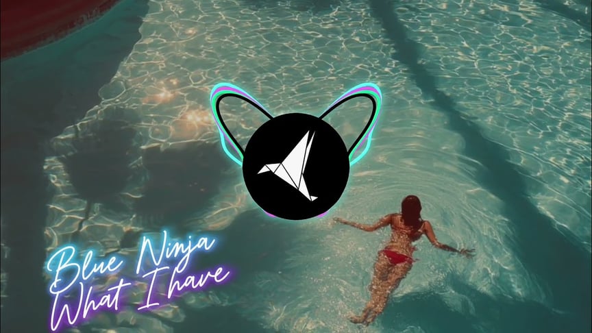 Blue Ninja - what I have