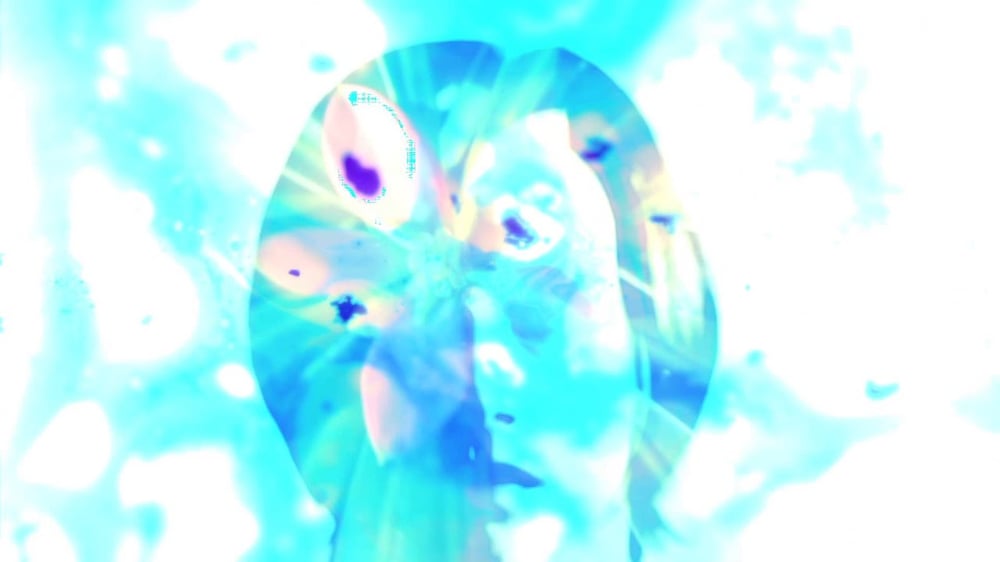 dead leaf echo- 'Kingmaker'