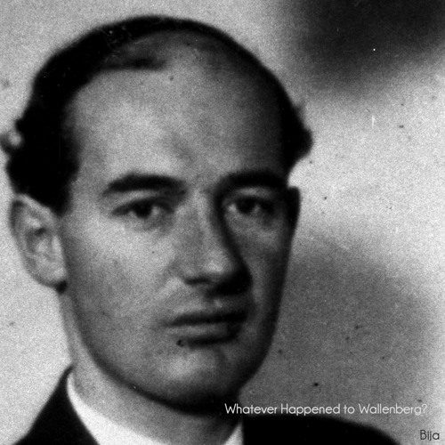Shīdo - Whatever Happened to Wallenberg?