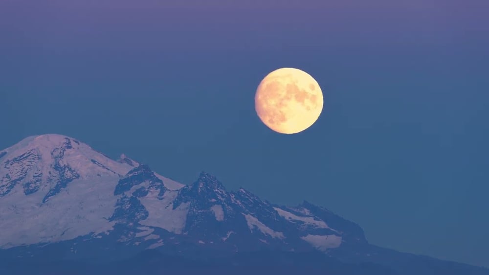 Brothertiger - "Torn Open" feat. Yvette Young (Official Video)