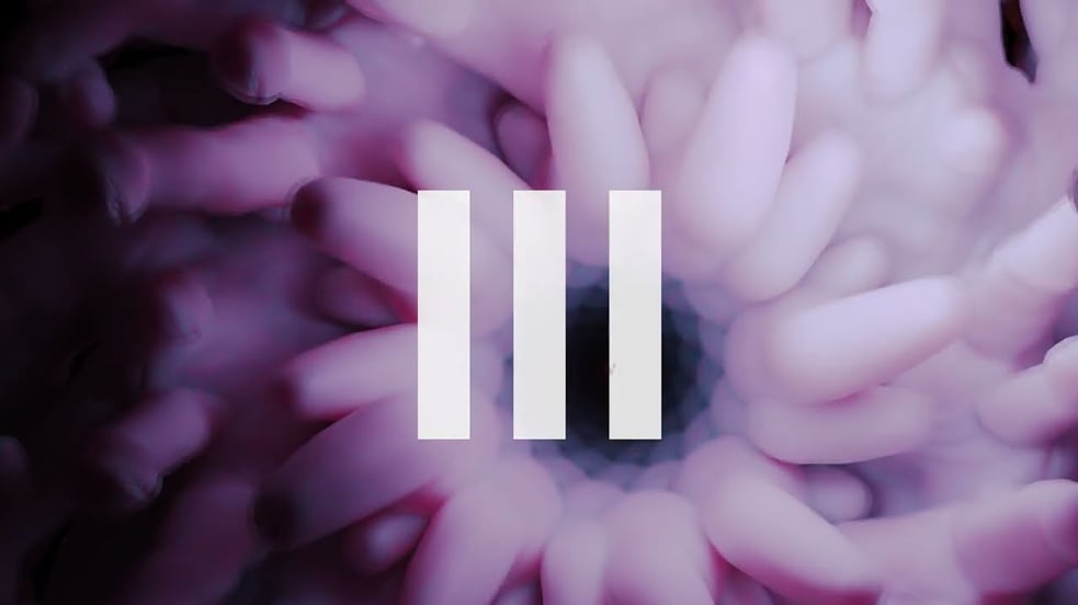 III (Official Audio Visualizer) - Nil Elses & José Tomás Molina