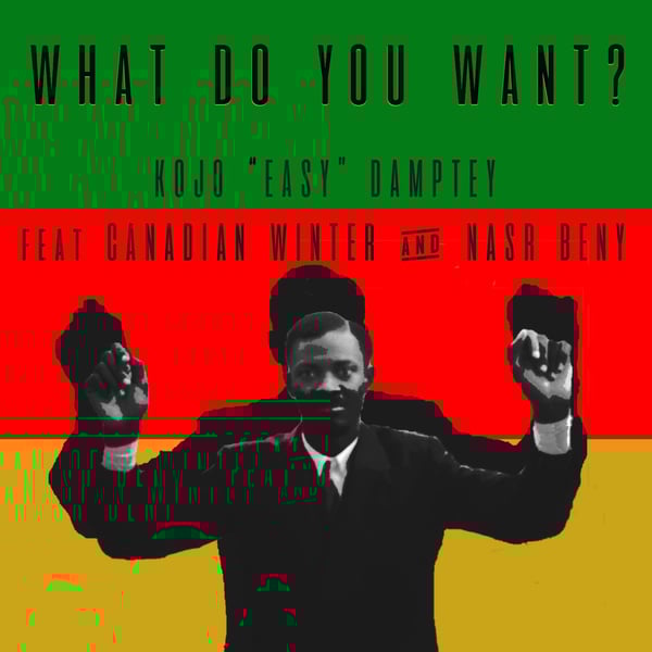 What Do You Want ? (feat. Canadian Winter & Nasr Beny) image