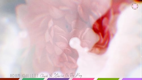 Adam Gillett  - Check Yo Stamina On The Reg (Official Visualiser)