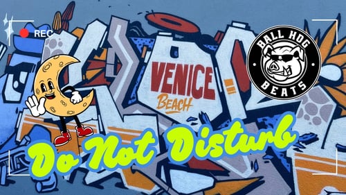 Do Not Disturb | Venice Beach — No Beats Today… Pulled Up to the Scene with the Driver Missing 👀🤔