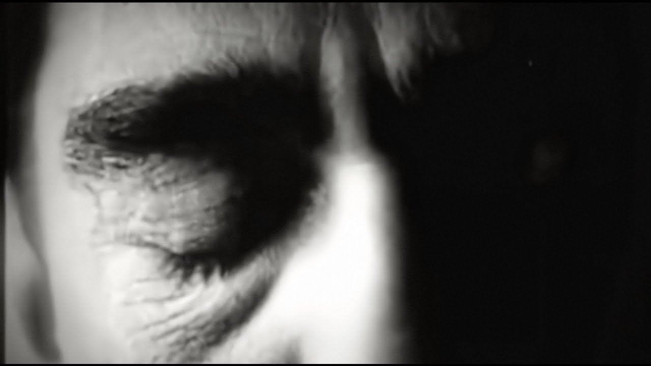 Skwirl and Johan Östman - Gone Feral (Official Visualiser)