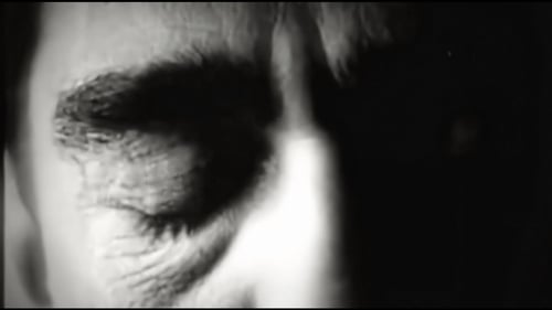 Skwirl and Johan Östman - Gone Feral (Official Visualiser)