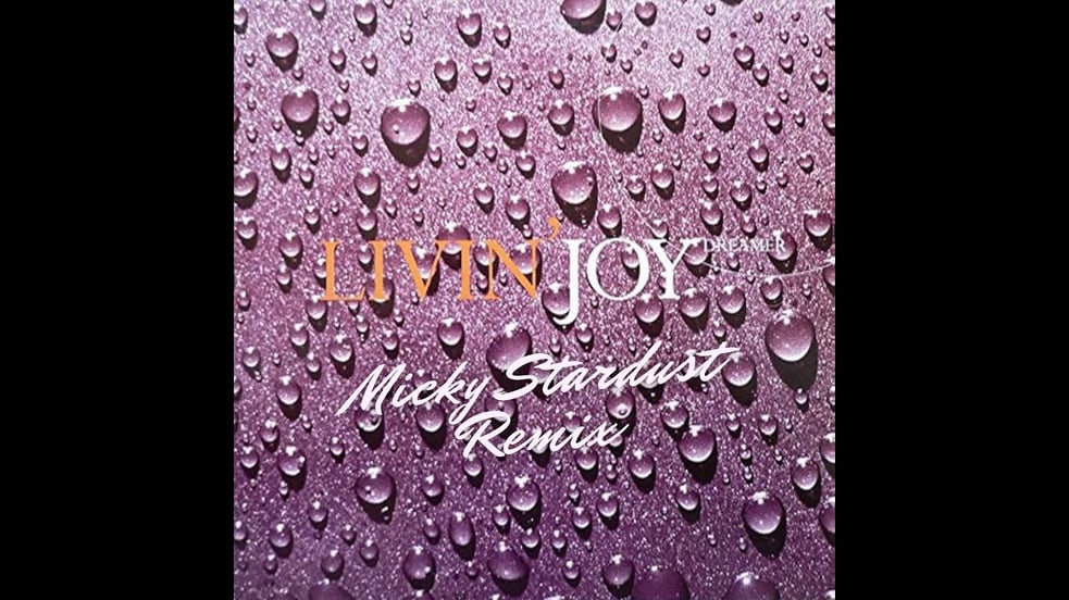 Living Joy - Dreamer (Micky Stardust Remix) #dance #90s #edm #djremix