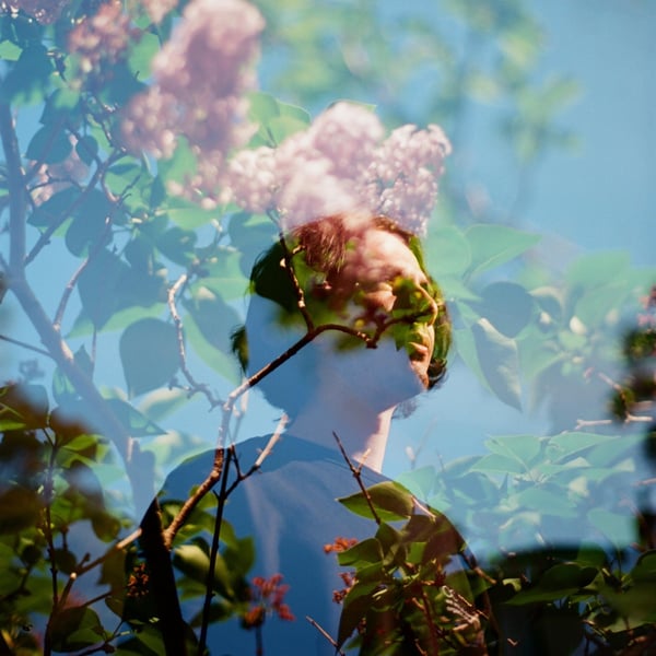 Bloom image