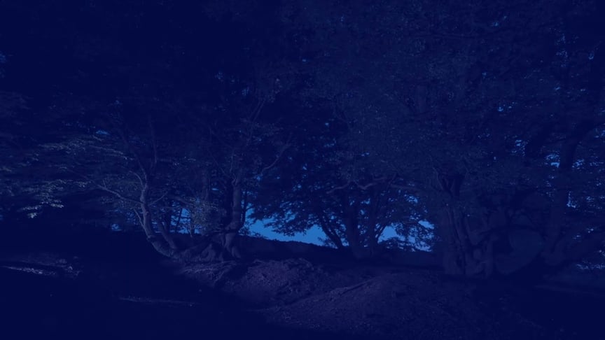 Dear Gravity • Interval (Official Video)