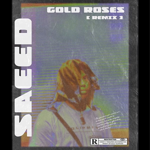 GOLD ROSES (remix) image
