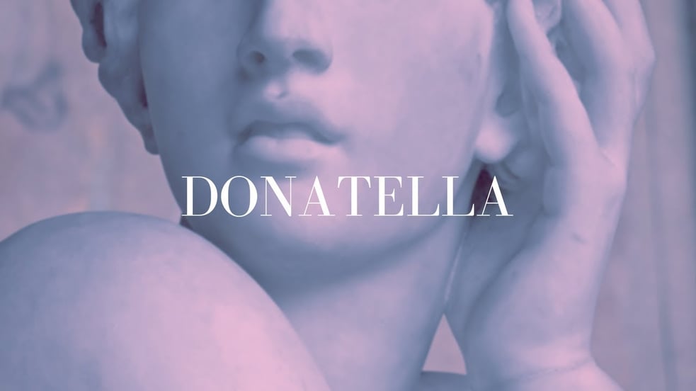 Donatella (Cover) - David Diaz