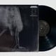 Night Scenes - Limited Edition 12" Vinyl