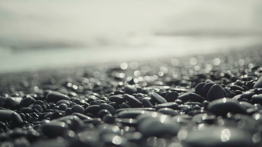 Dear Gravity & Domy Castellano • The War (Official Video)