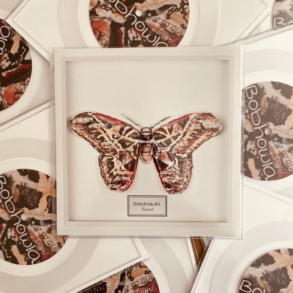 'Tainted' Limited 7" Single 'Kickstarter' Edition on Squared Vinyl image