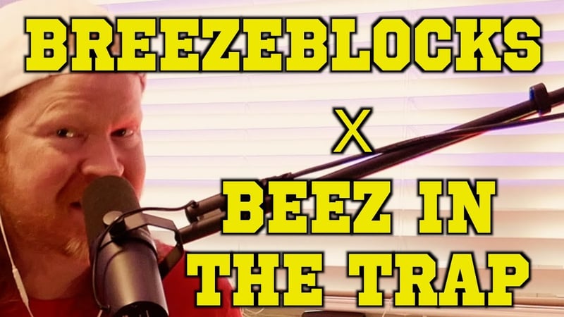 Breezeblocks - alt-J x Beez in the Trap - Nicki Minaj Mashup (Toy Jam Cover by Faith in Foxholes)