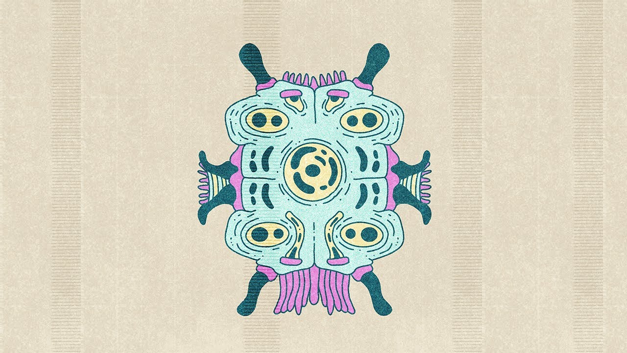STEREO FERMENT #53: Arab, Hard Groove, Bollywood, Edits