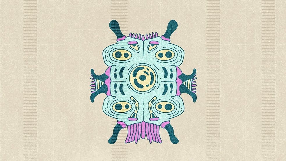 STEREO FERMENT #53: Arab, Hard Groove, Bollywood, Edits