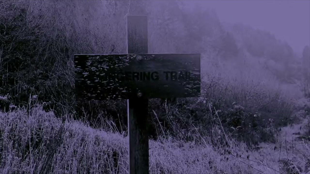 The Sea In Me by Kelli Frances Corrado