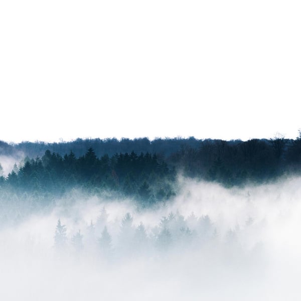 Evergreen Drive image