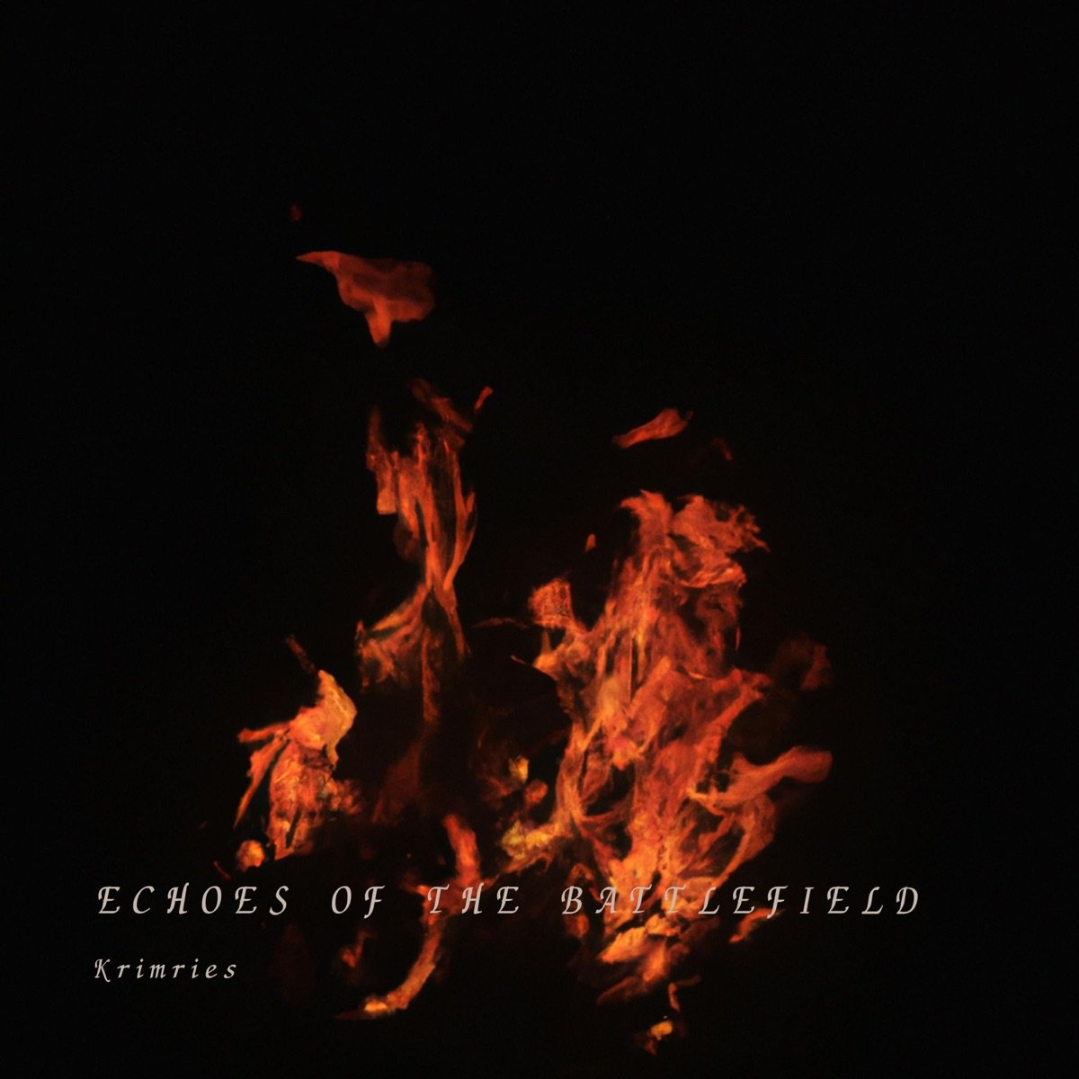 Echoes Of The Battlefield