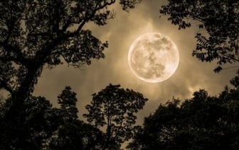 На небе 19 августа можно будет увидеть «Осетровую Луну»