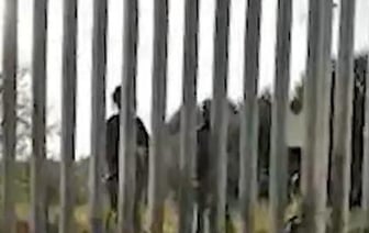 Польские силовики стреляли по людям в Беларуси – начато расследование