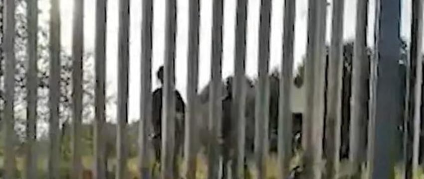 Польские силовики стреляли по людям в Беларуси – начато расследование