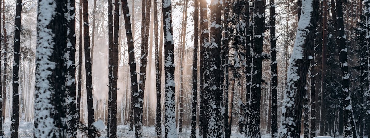 Беларусь работает с РФ по созданию совместных предприятий в машиностроении