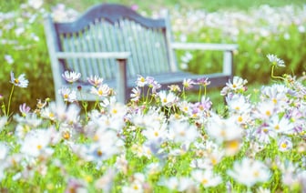 Япония планирует сократить выбросы CO2 на 60% от уровня 2013 года к 2035 году